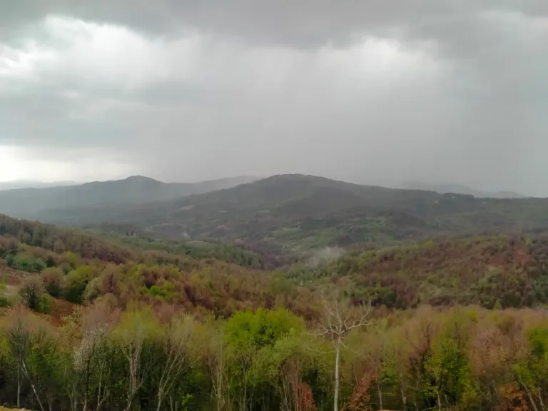 JpaoPJRBitXaCv49_IMG20250422133434.webp