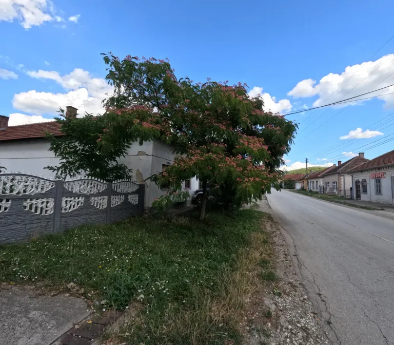 WnOvmctU40UQ85HR_GOPR1275.webp