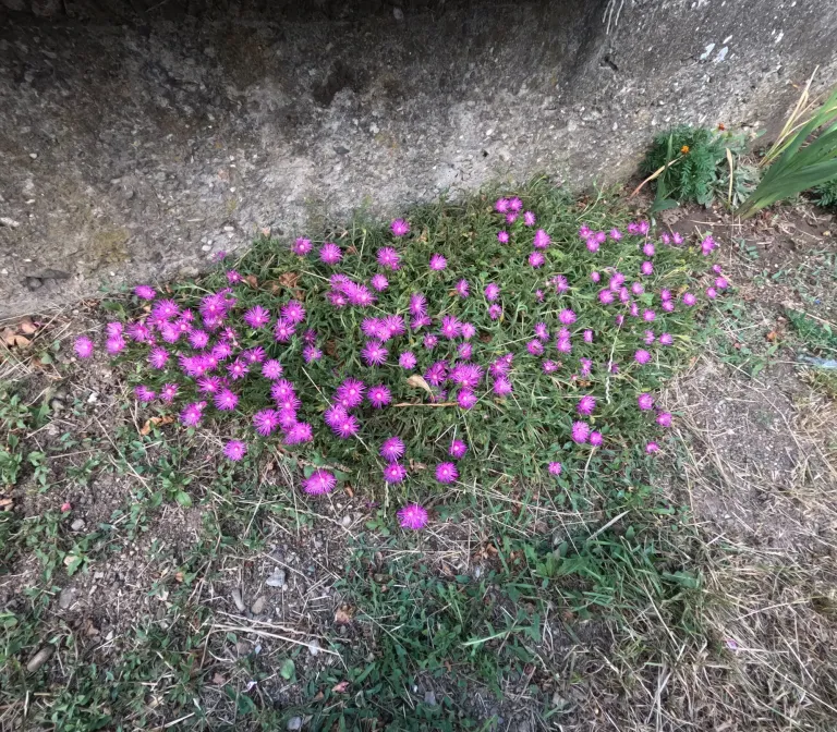 ZHsdirvtpNQ25uLg_GOPR1288.webp