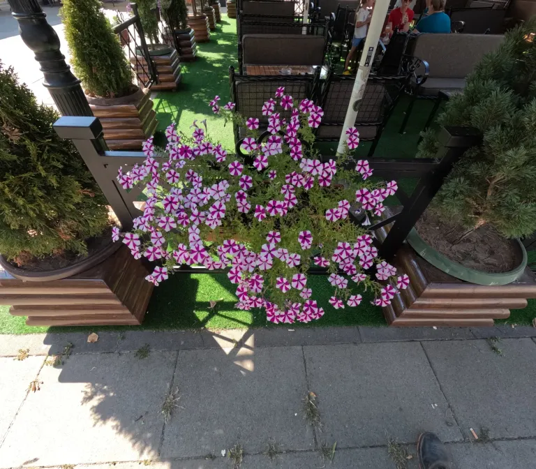 adfkgorIHfZKMFGi_GOPR1390.webp