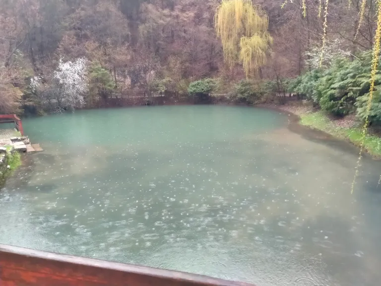gsEDjtqATwHrkKmr_IMG20250328141052.webp