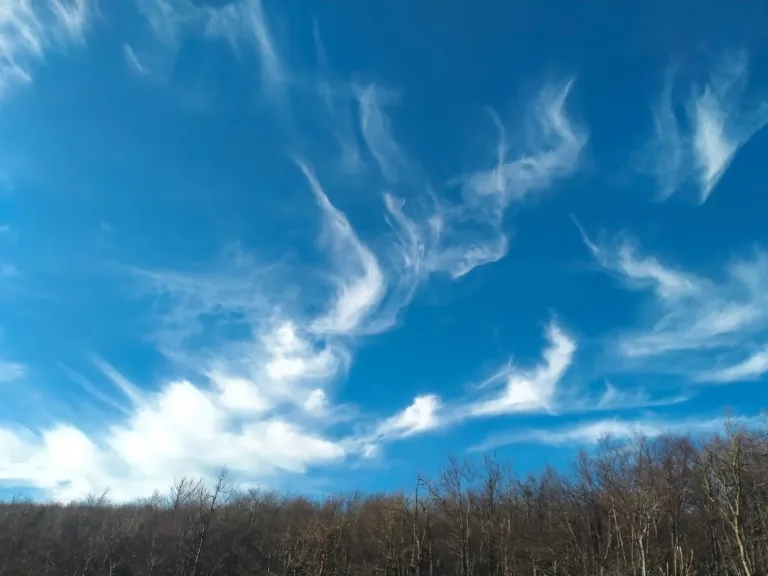 p6GZvGSvJkQjUWSe_IMG20250307073539.webp