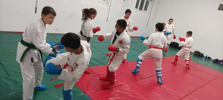 BUWpLPtjks7g1DrC_IMG_20241104_193813.webp