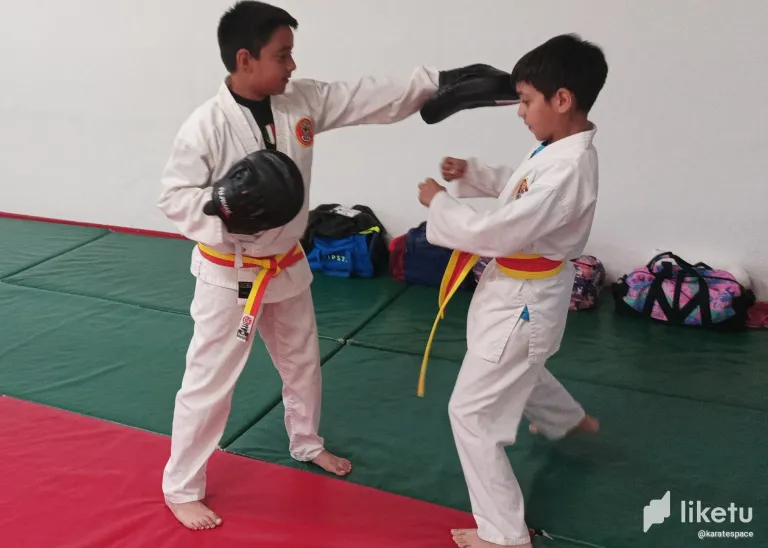 clw8y5kpk003iwnszh7hnfqou_IMG_20240418_100204.webp