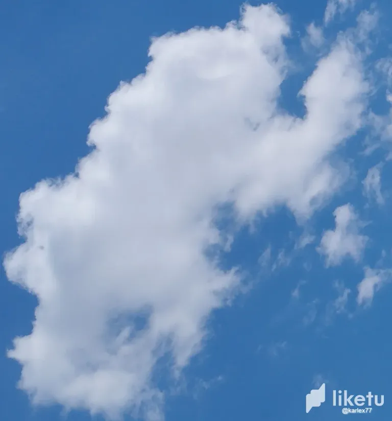 clsxun33x0002pfszh6vpbdvc_IMG_20240222_122953.webp