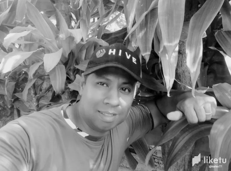 cltm292l3004h52szehvmgizy_IMG_20240310_170305.webp