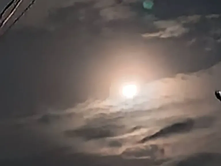mJCXwklkhoCS0DsN_Screenshot_2025-06-12-11-26-04-634_com.whatsapp-edit.webp