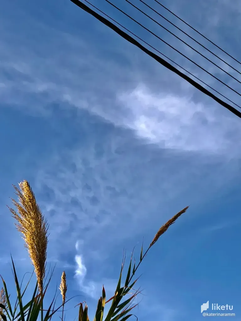 cl9n3wide00o01dkcfzhhfo7s_image00011.webp