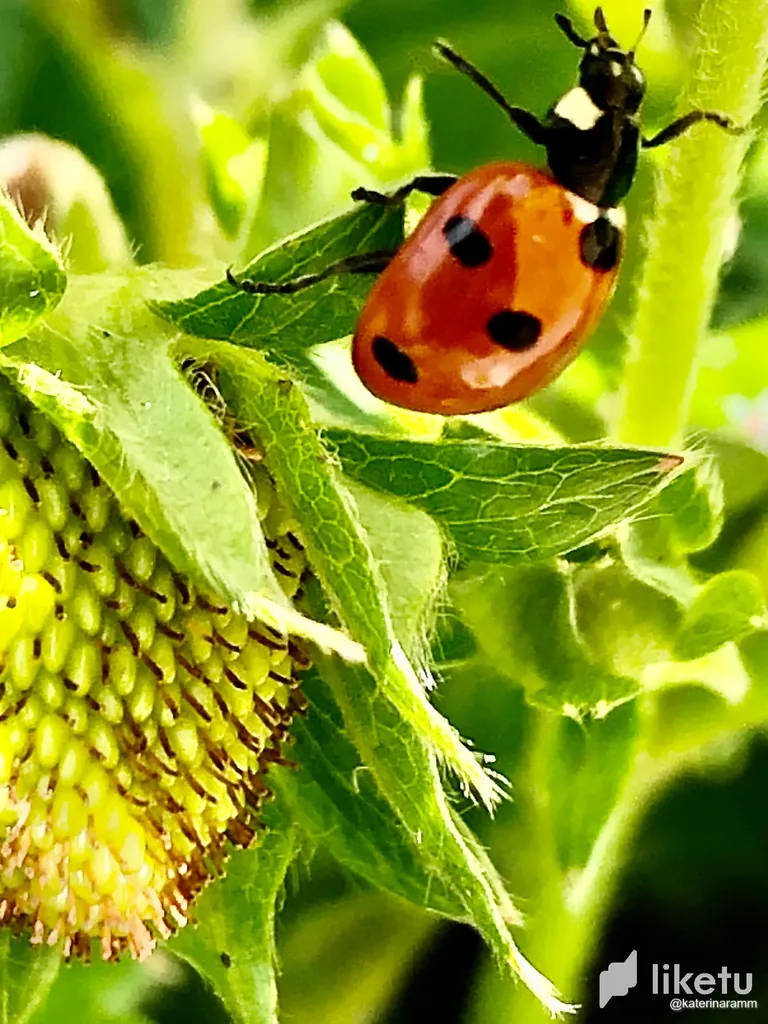 clefcikif016o8gszaps67nk8_image00006.webp