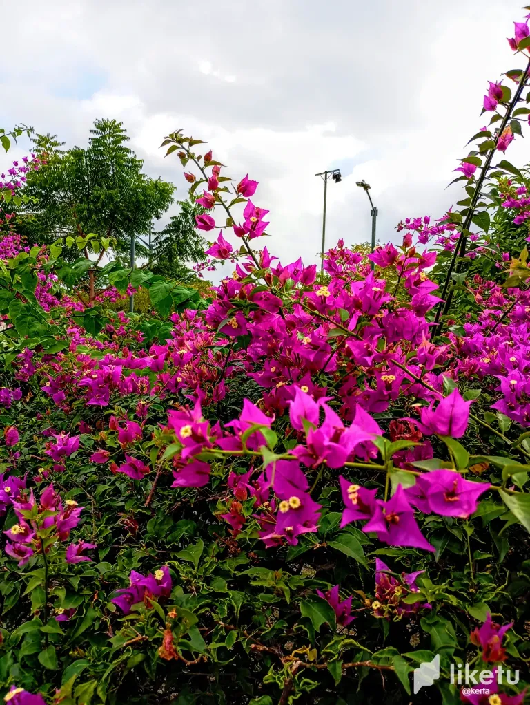 FbEVIhVIMcwdEKuZ_IMG_20250602_151247.webp