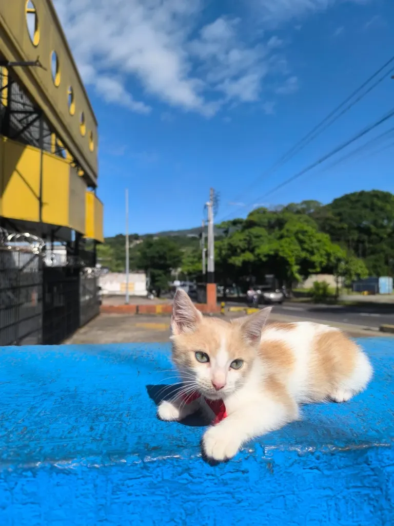 StEhuPanJIsHMZ52_1000912508.webp