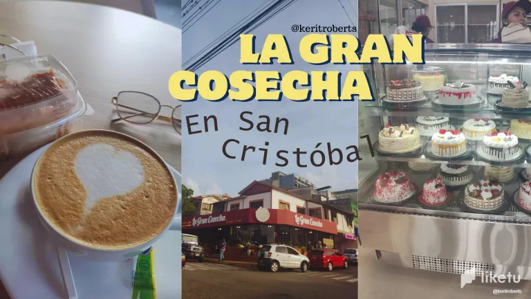 clp19cbzq01f8eqsz3w8adv1i_La_Gran_Cosecha_San_Cristobal_Tchira.webp