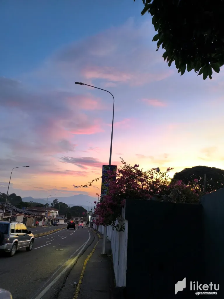 eVNz88kPs86Wehsl_IMG_20240815_191403.webp