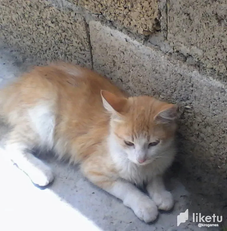 clh7n039m004t37sz9ia9a48x_IMG_20190816_120229.webp