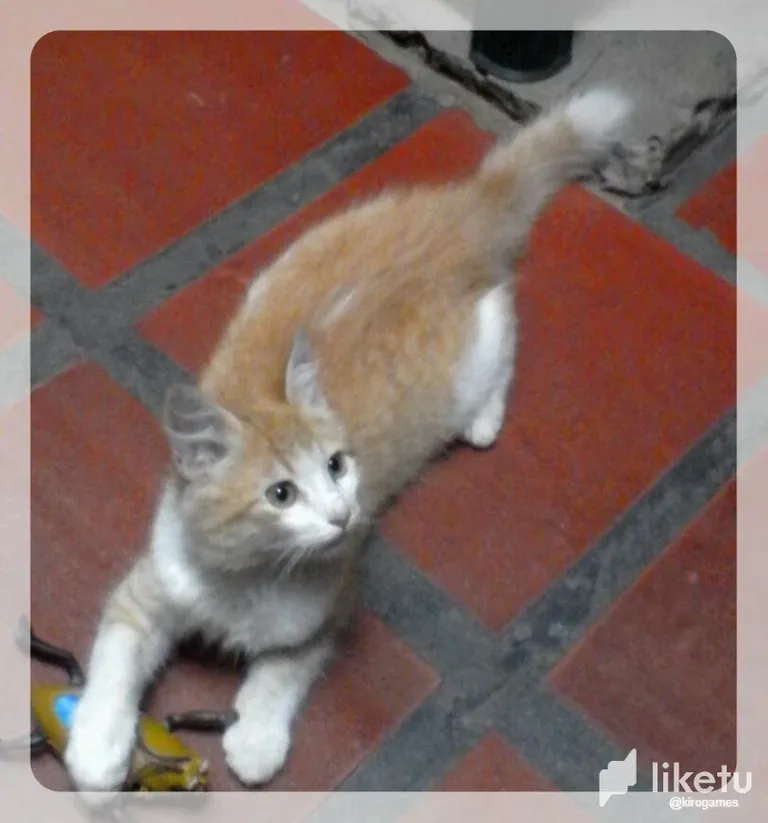clh7n0k5w005615sz10rp0ji5_IMG_20190523_152900.webp