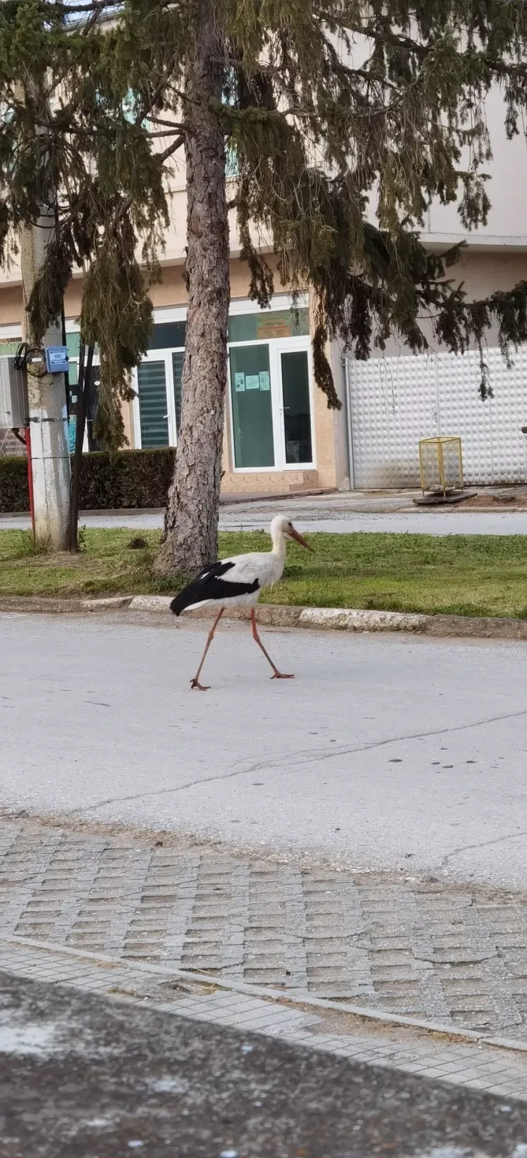 spttXCrwbLRbTs9o_IMG_20230409_192749.webp