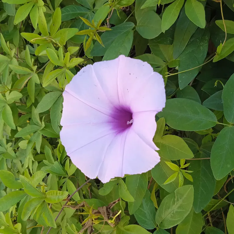 M6wReWFvflKYxajw_IMG_20250218_161148.webp