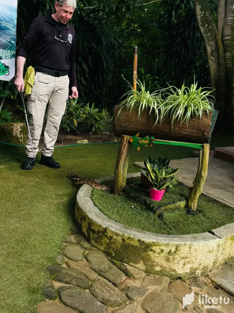 7fBoUgVayRSg7IRc_photo_2_2024-12-03_10-25-58.webp