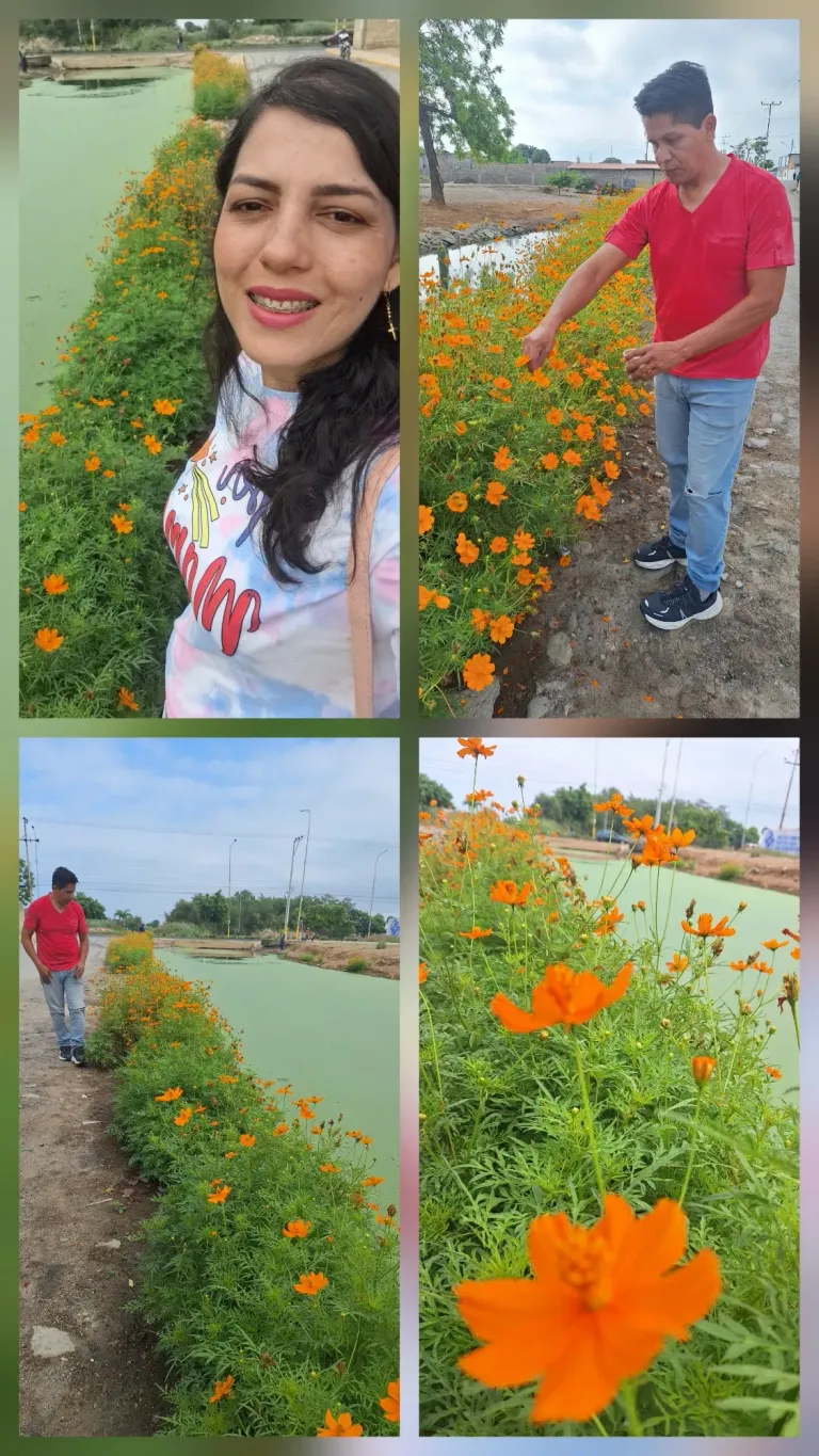 J5x8QNugKEOWn07T_1000898449.webp