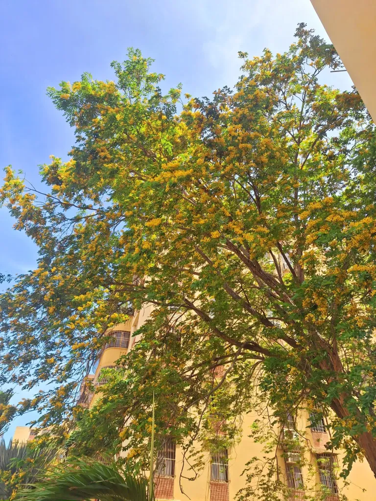 Qsr3hgkXO7Qwk9b7_20250427_105908.webp