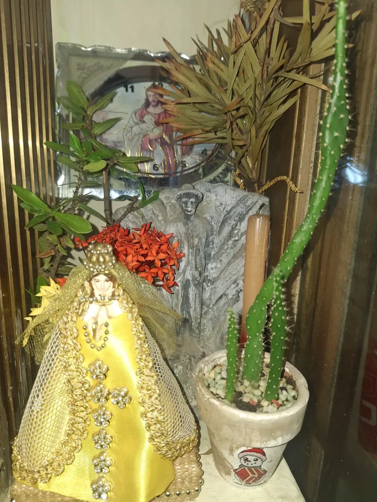 RL9MoCdVzDytbXOw_20250605_064137.webp