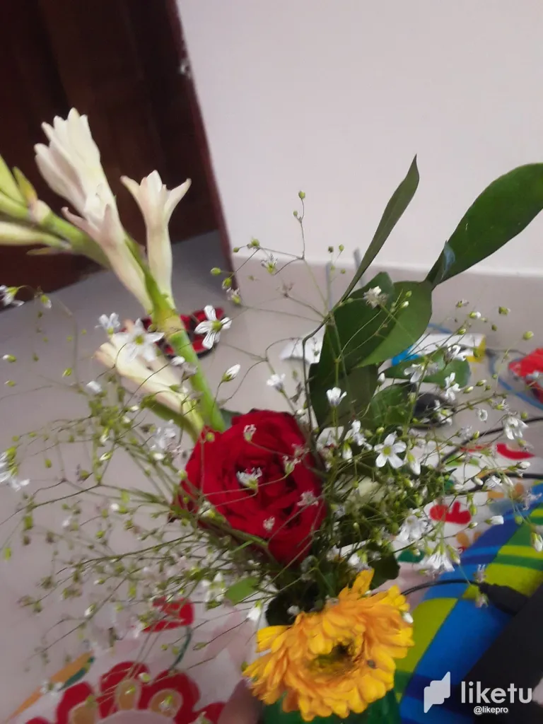 cljo40c9q01l28fsz3qjogbbu_20191227_153039.webp