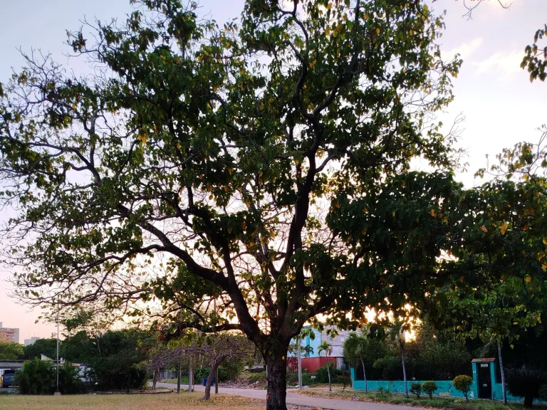 YJBgAnNTzmwnUtkf_IMG_20250605_004258.webp