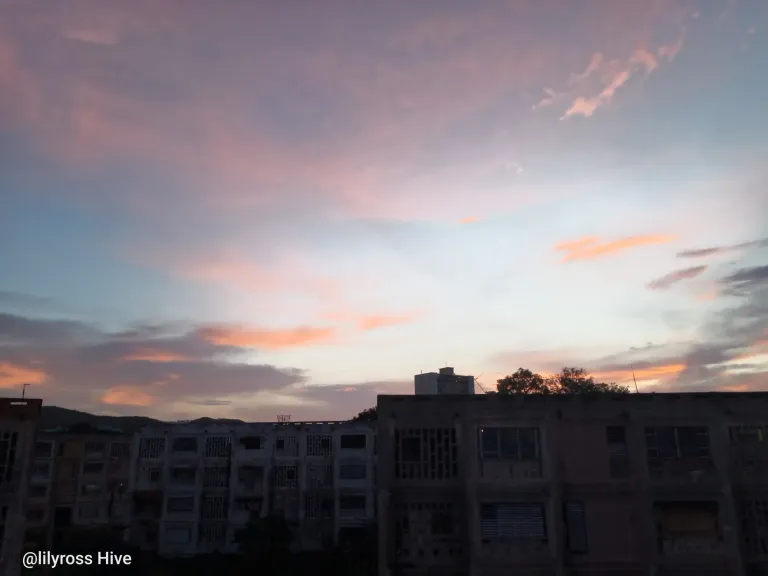 0fObnOJV3KXMHy2o_1000071794.webp