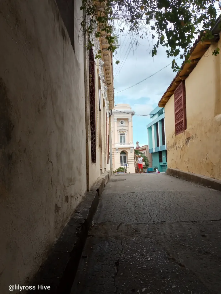 7ZEBId7XzfeUiInX_1000127224.webp