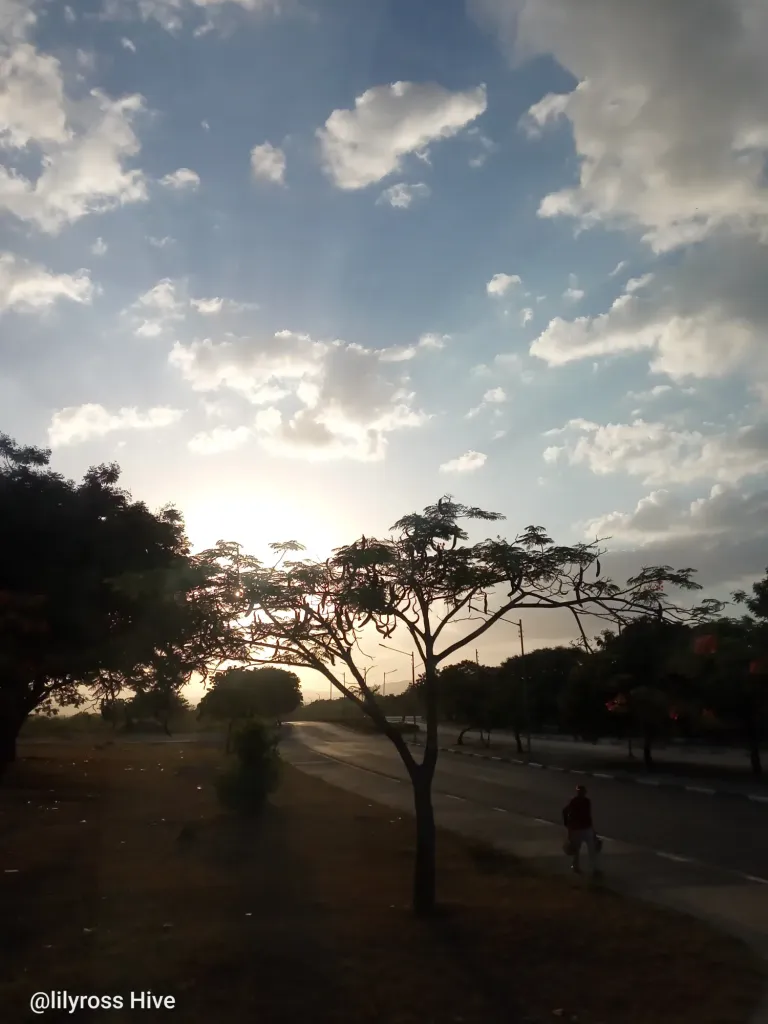 M7ZZ0wBcYtata6VN_1000102988.webp