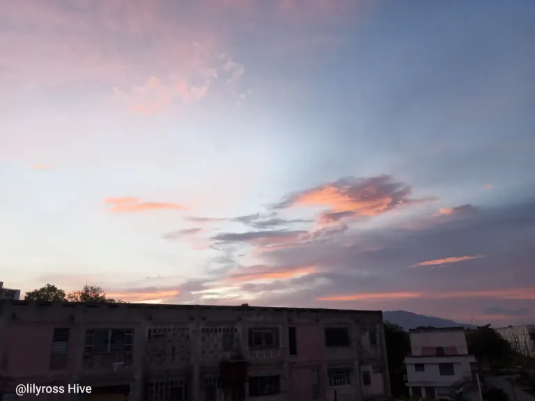 bv6q7IavVt1Ma0wT_1000071796.webp