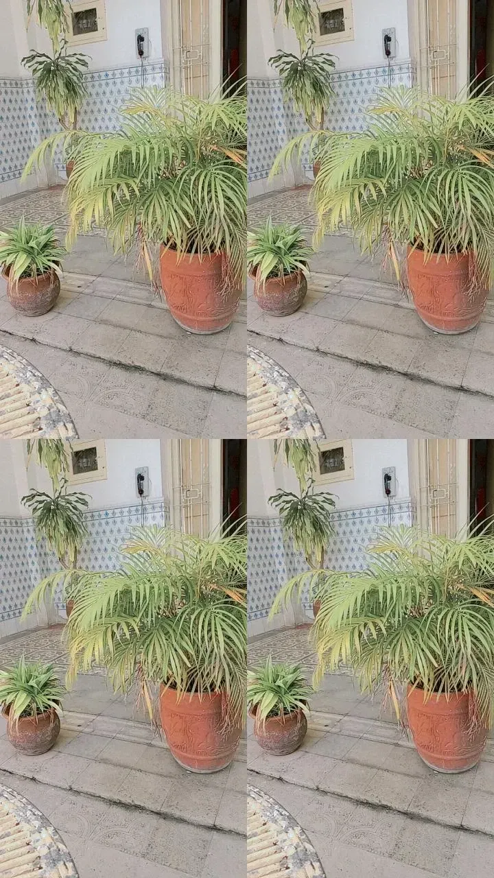 r8Ok9gHFhTsQUkOX_1000032200.webp