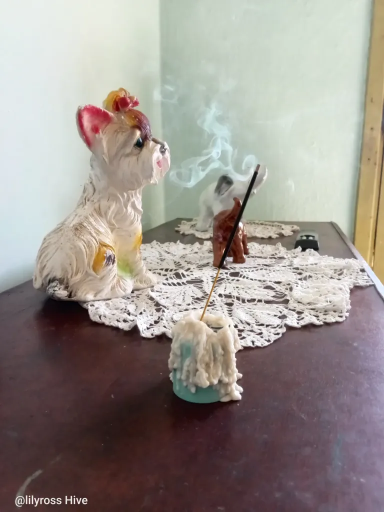 rxmnzRQD0uO6OsZ0_1000032741.webp