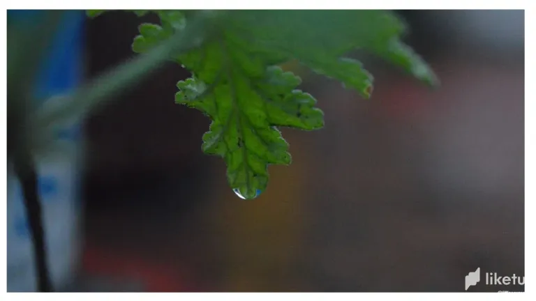 umI0UHQboeAAk9xR_118.webp