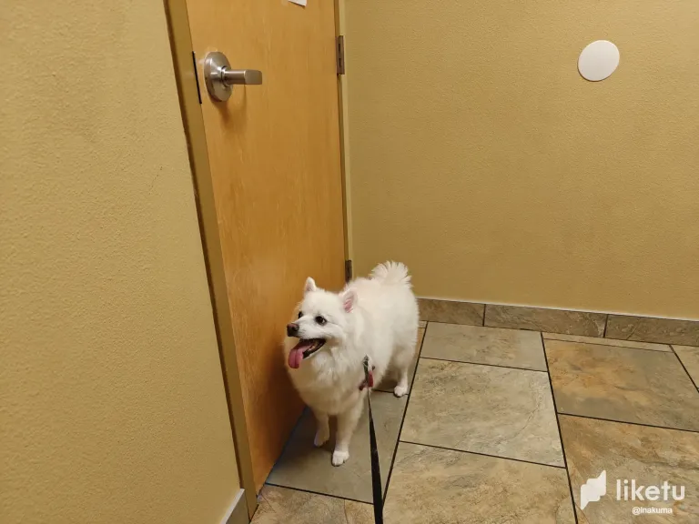 Phy4Zq4qrHXhhYMl__2025-08-11_210410_739.webp