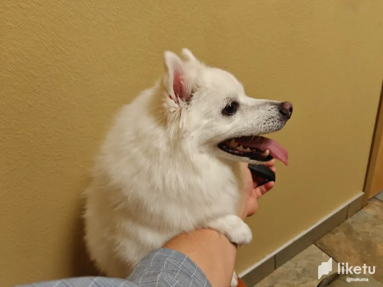 Pn3SOGVkZMRKwNNr__2025-08-11_210405_010.webp