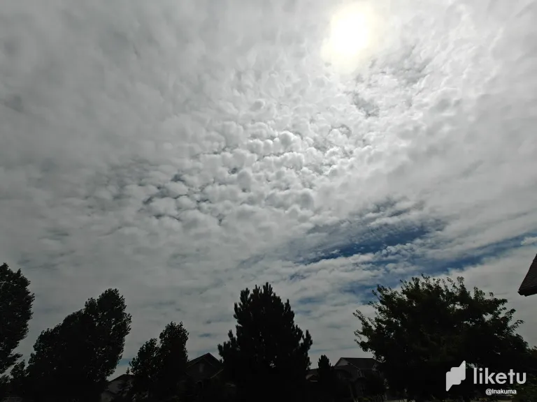 stK4pcyLsR4YkDLH_IMG20250808125004.webp