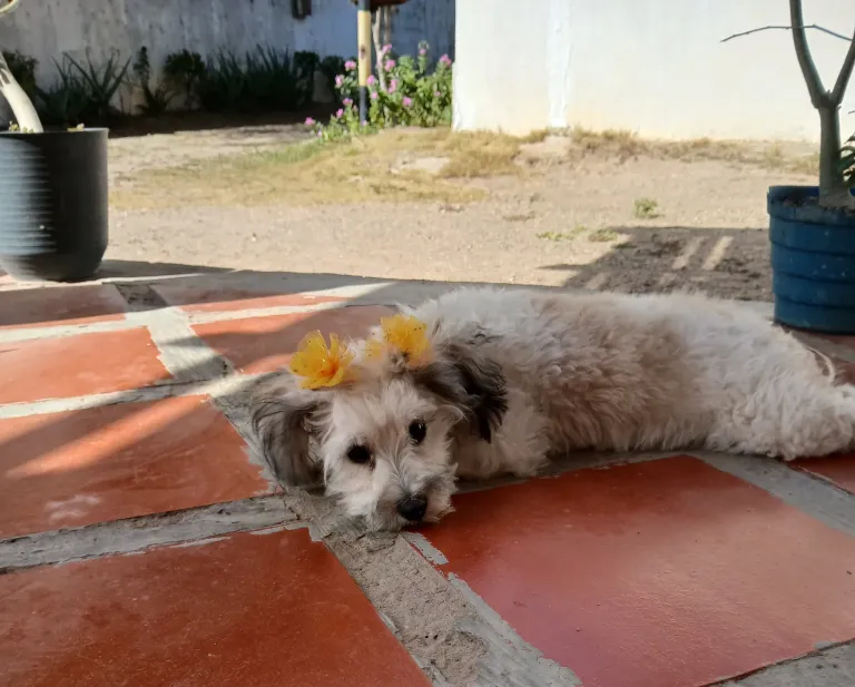 X6Y1xt68t3KIWhyK_1000338809.webp
