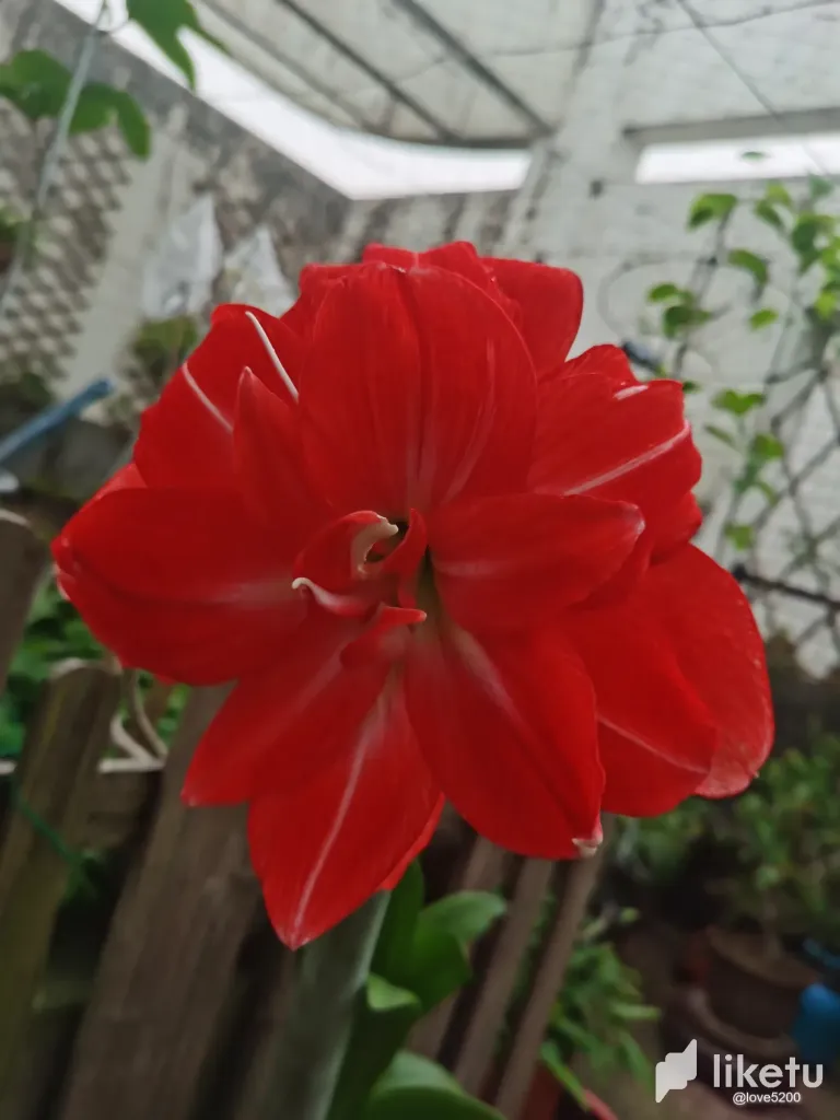 BcacMoEPeihIoSHo_11.webp