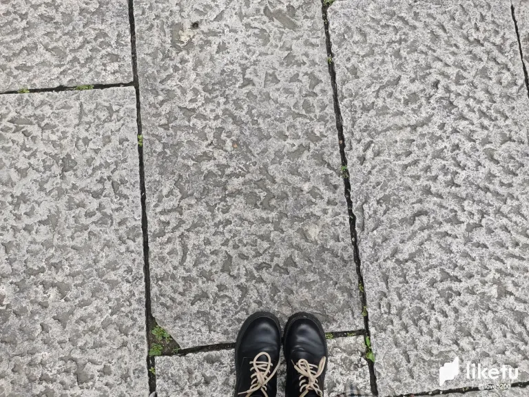 JHdYJFELHj2gtmfx_3.webp