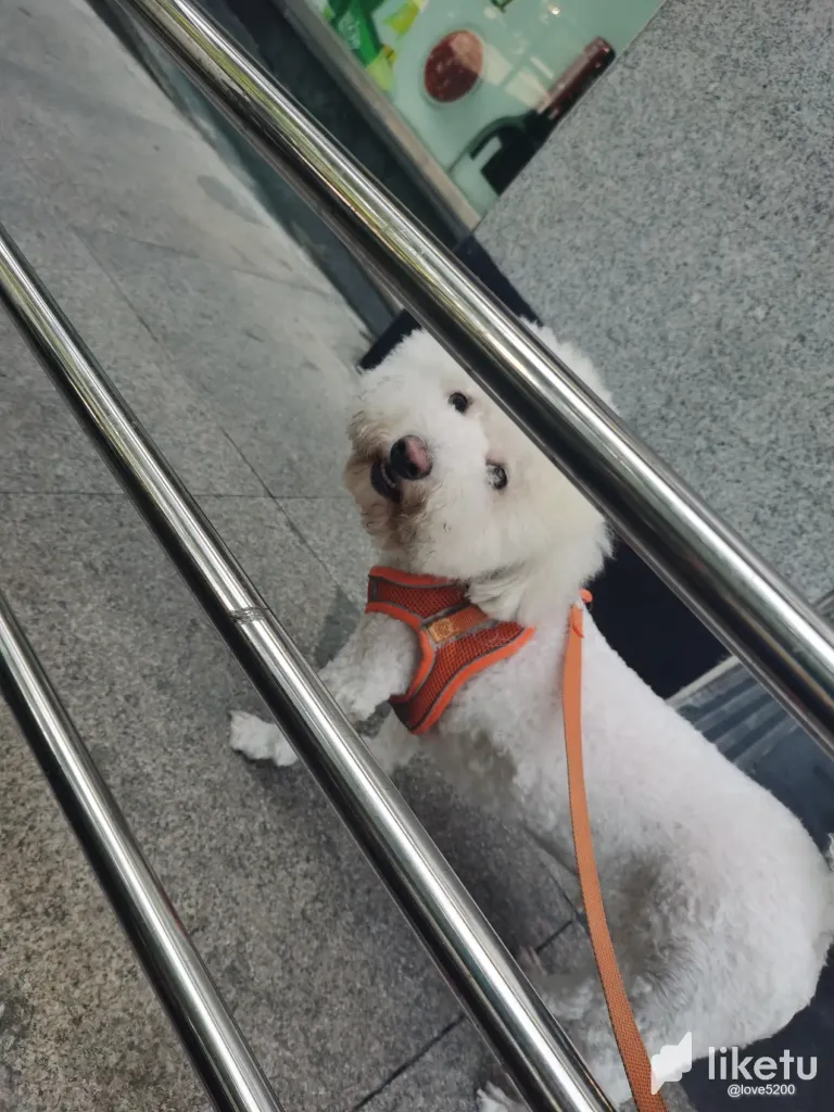 OEYwiq6IuElsrzkR_2.webp