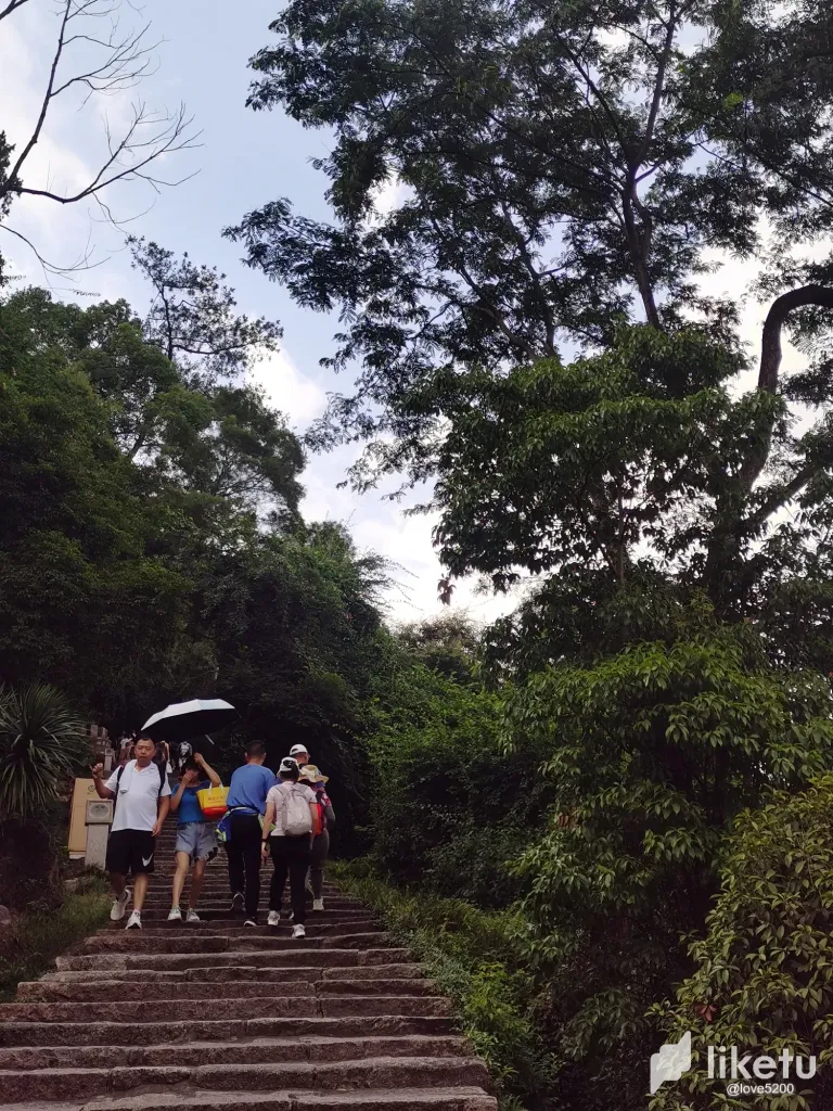 PDUmzU0ghCXU28z6_2.webp