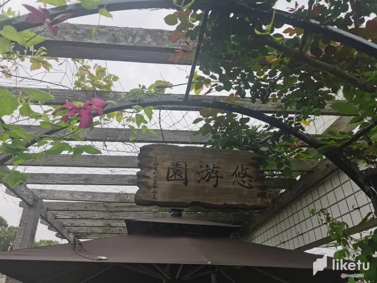 RnxfaRm804dGXMH1_8.webp