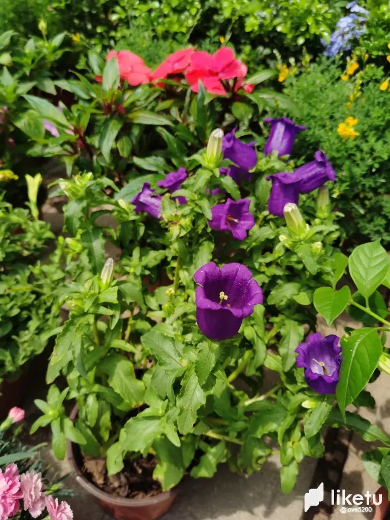 U0W7DSqL9IfvuPyw_3.webp