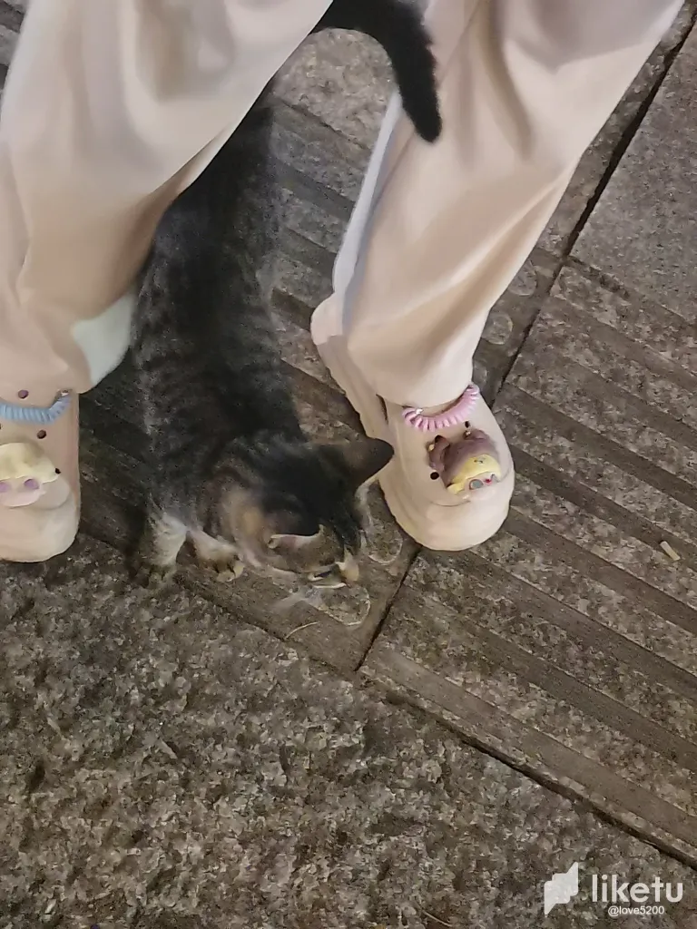 ZLzmn7xf5ufxcCSQ_16.webp