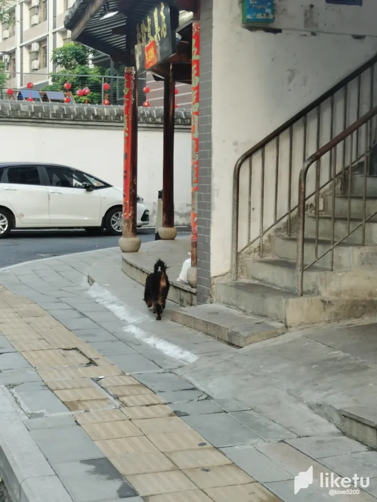 ZoAZeJXRaK33DdEx_2.webp