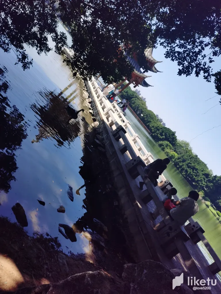 d48PZhUNfkupcjZU_8.webp