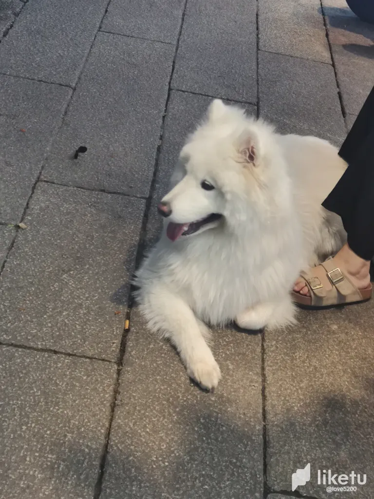 fYyZKTeAzCAcIJbl_6.webp