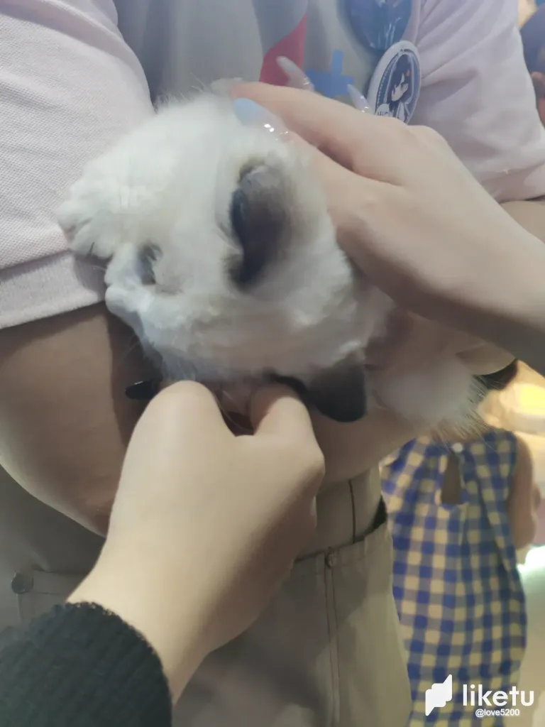 mirnNOTLJZLC128D_9.webp