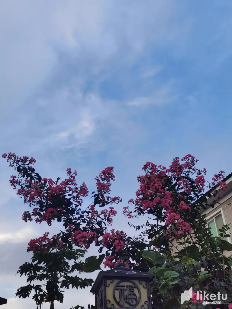 vRWxbKM04MhDORZH_33.webp